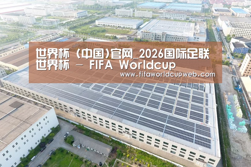 案例展示二