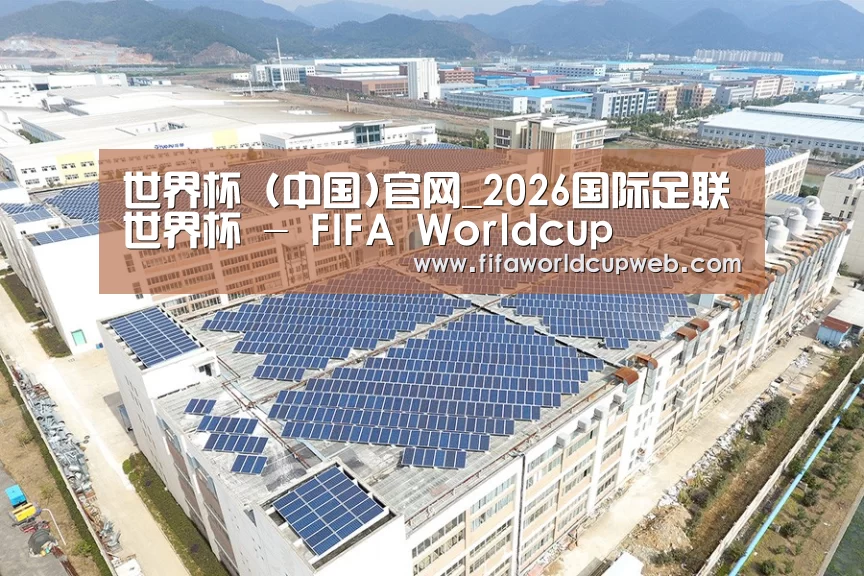 案例展示四