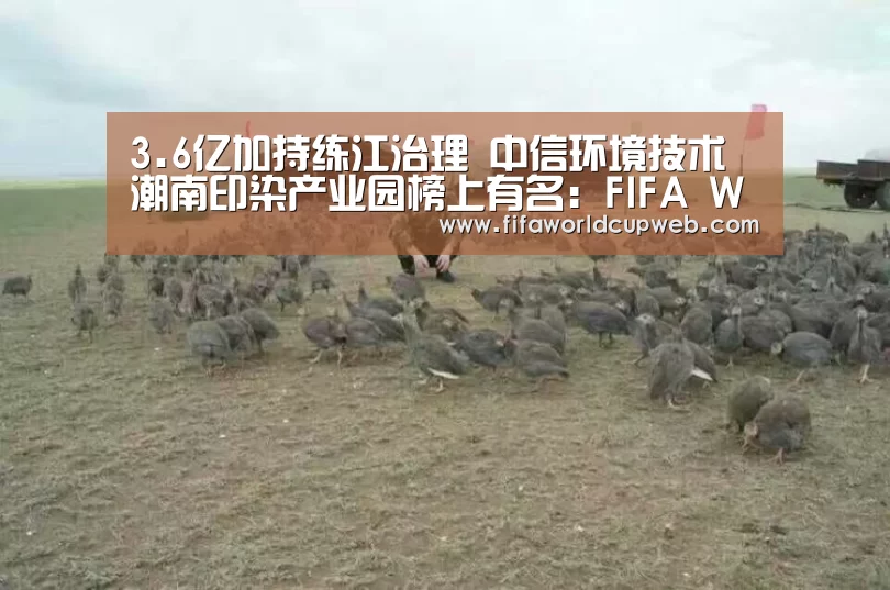 3.6亿加持练江治理 中信环境技术潮南印染产业园榜上有名:FIFA Worldcup(图2) 2026国际足联世界杯