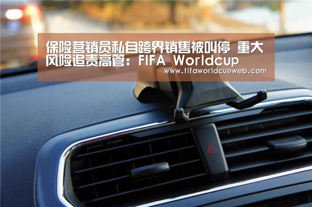 保险营销员私自跨界销售被叫停 重大风险追责高管:FIFA Worldcup(图3) 2026世界杯