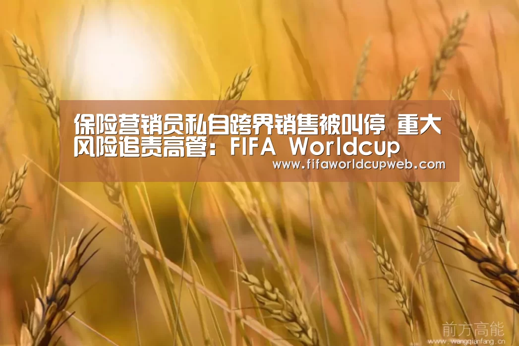 保险营销员私自跨界销售被叫停 重大风险追责高管:FIFA Worldcup(图2) 2026国际足联世界杯
