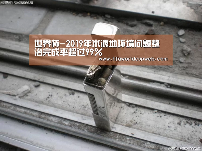 世界杯-2019年水源地环境问题整治完成率超过99%(图2) 2026国际足联世界杯