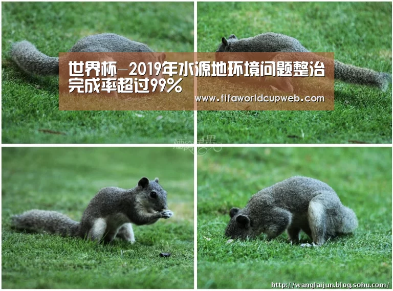 世界杯-2019年水源地环境问题整治完成率超过99%(图3) 2026世界杯
