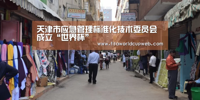 天津市应急管理标准化技术委员会成立“世界杯”(图1) 2026国际足联世界杯