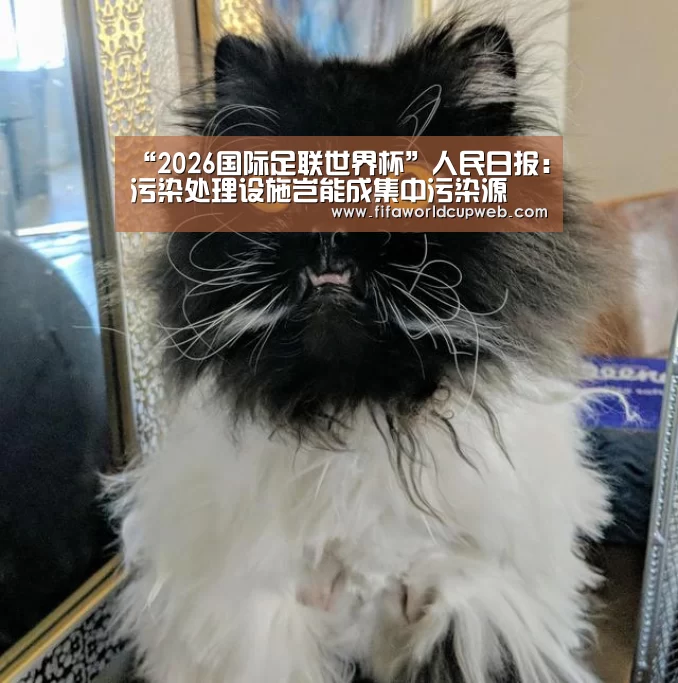 “2026国际足联世界杯”人民日报:污染处理设施岂能成集中污染源(图3) 世界杯