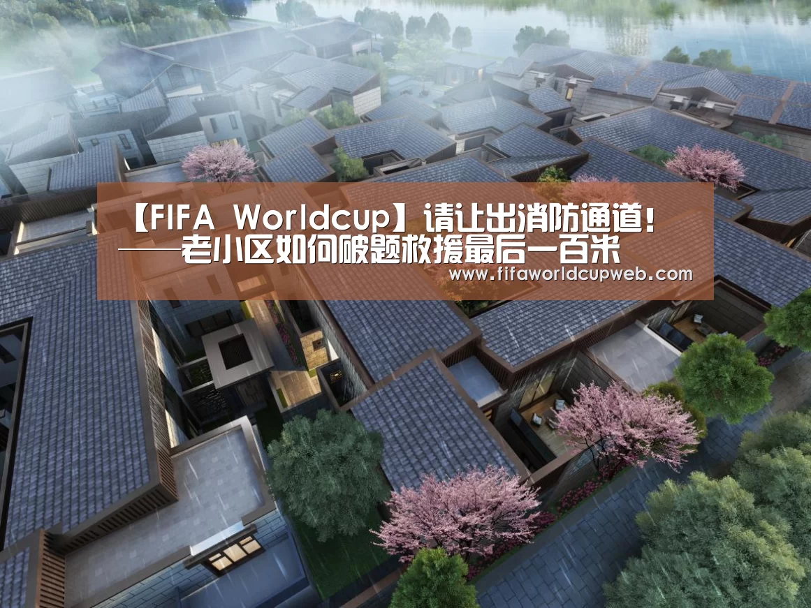 世界杯