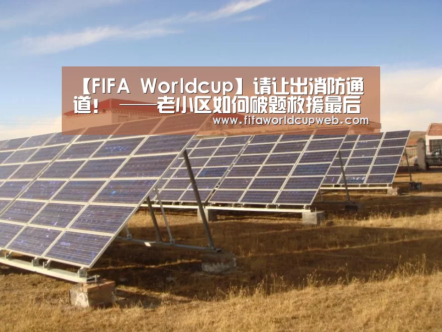 2026国际足联世界杯