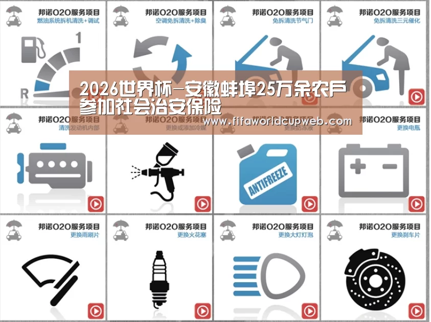 2026世界杯-安徽蚌埠25万余农户参加社会治安保险(图1) FIFA Worldcup