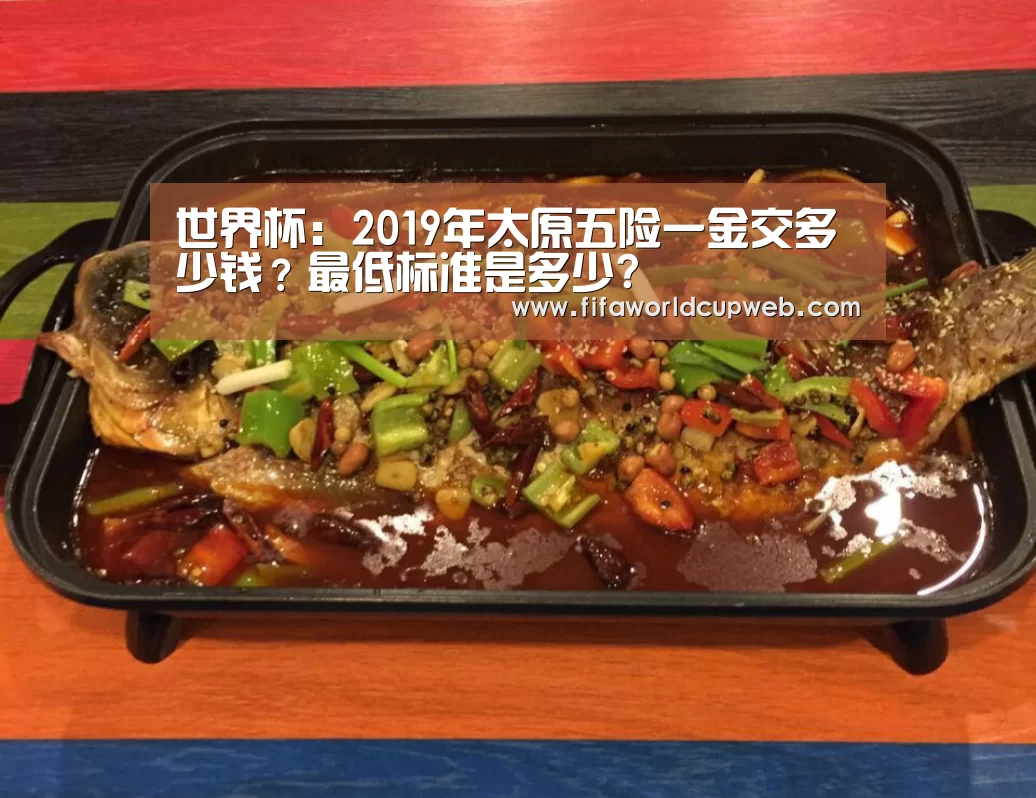 2026国际足联世界杯