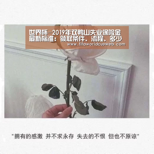 世界杯-2019年双鸭山失业保险金最新标准:领取条件、流程、多少钱(图2) FIFA Worldcup