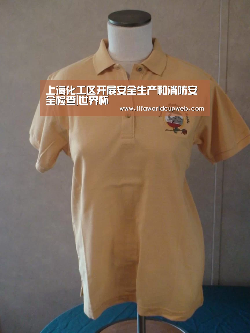 上海化工区开展安全生产和消防安全检查|世界杯(图1) 2026国际足联世界杯