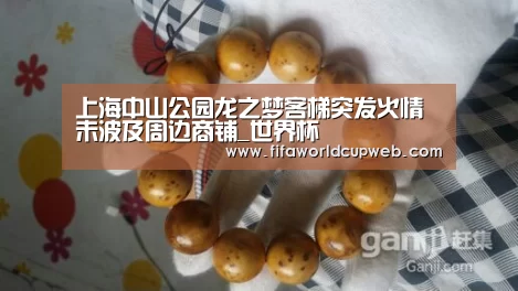 2026国际足联世界杯