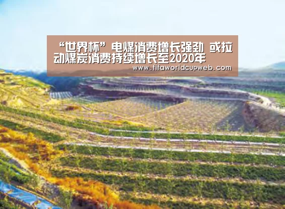 2026国际足联世界杯