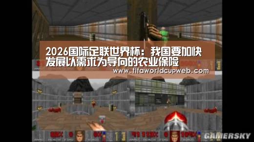 2026国际足联世界杯:我国要加快发展以需求为导向的农业保险(图2) 世界杯